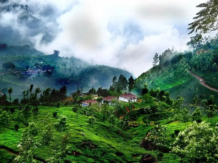 COORG, KARNATAKA 