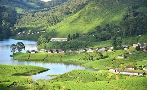 MUNNAR, KERALA 